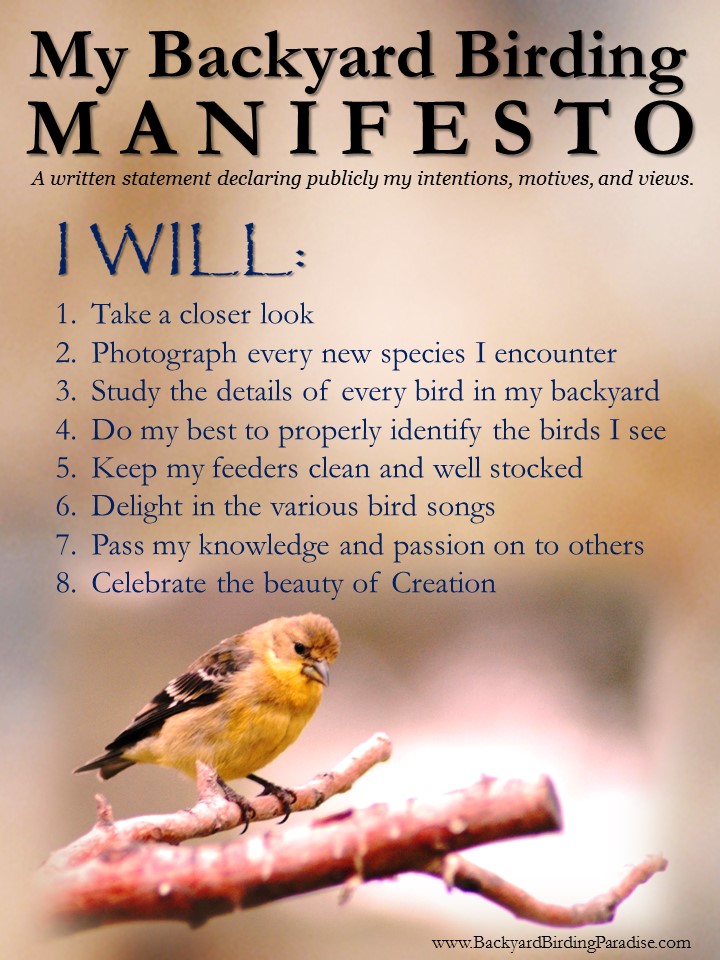 Backyard Birding Manifesto